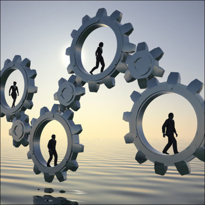 Building a Culture of Team Trust: The Shark Tank Method