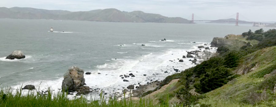 San Francisco Coast
