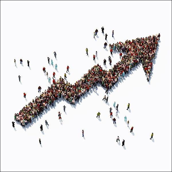 How to Scale a Business: What Facebook Got Right and Webvan Got Wrong