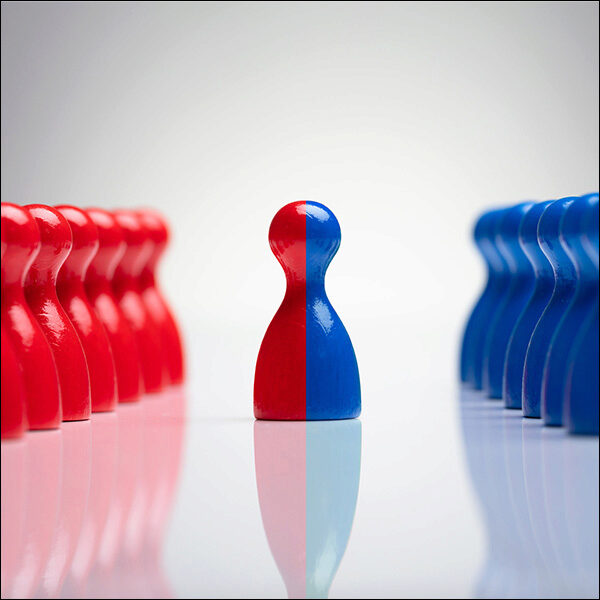 Successful Alliances: Building Firm-Level Capability
