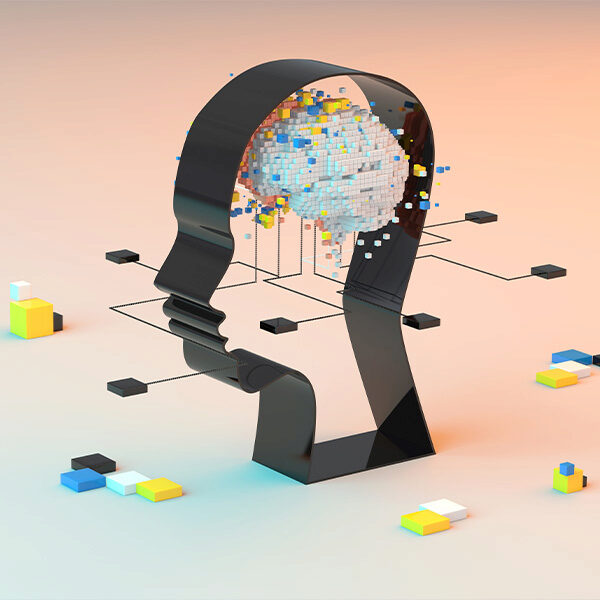 The Right/Left Brain Myth and More Neuroscience Insight