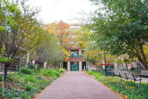 Pathway lined with trees and benches leading to a brick building entrance. Autumn leaves are visible on the ground and trees.